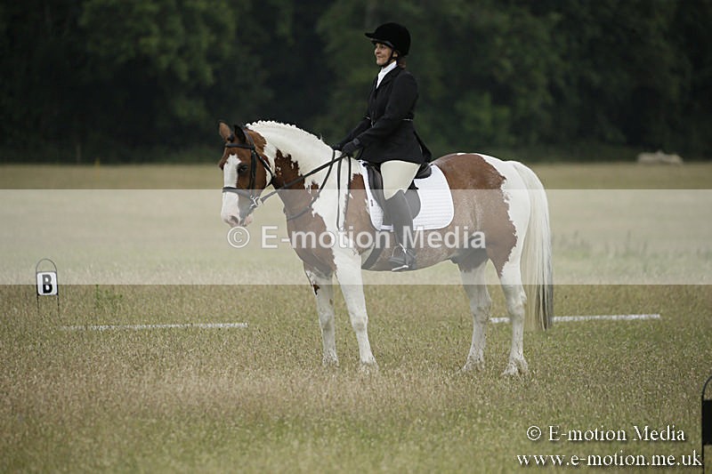 B230619-0221 - Bourne Valley Riding Club Summer Show 23/06/19