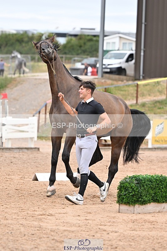 250716-162520-02625 - Trot Up 3.30 to 4.30