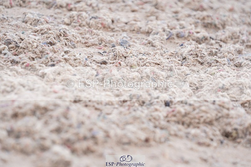 250322-085904-00013 - DR Intro 1 Test