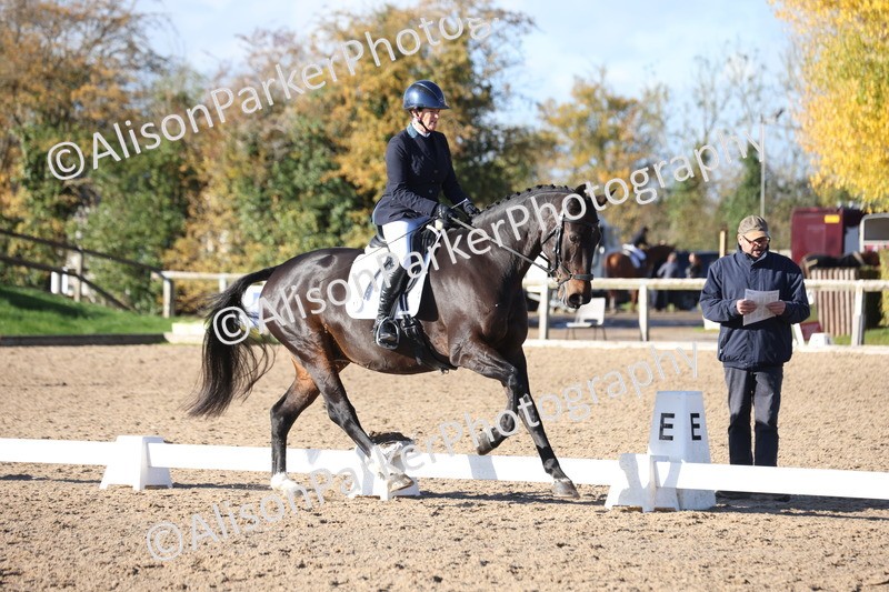 20251102-0984 - Class 5 - Elementary 5