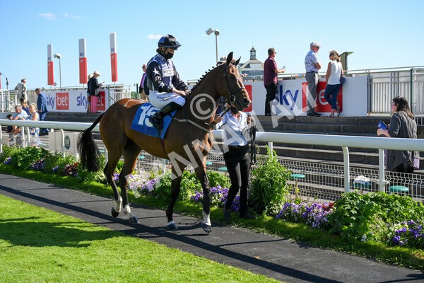  - Race 6 4.50pm The Ice Co supporting Macmillan Stakes