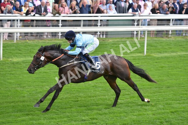 yr18082021r2-25 - Race 2 2.25pm Tattersalls Acomb Stakes