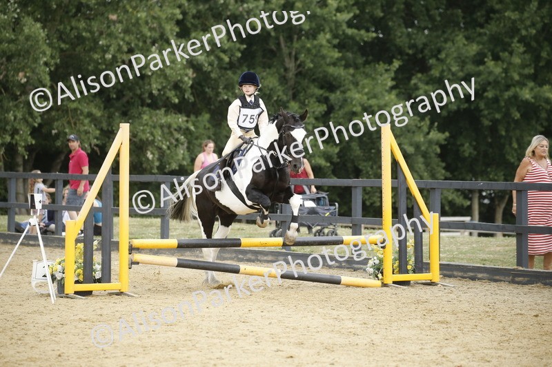 20250622-6343 - 60cm