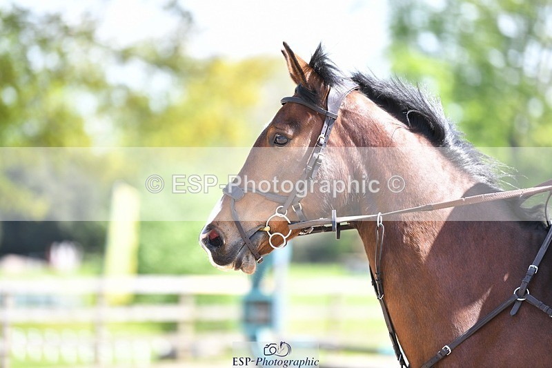 230512-120211-01355 - Cls 11a Snr Brit Nov