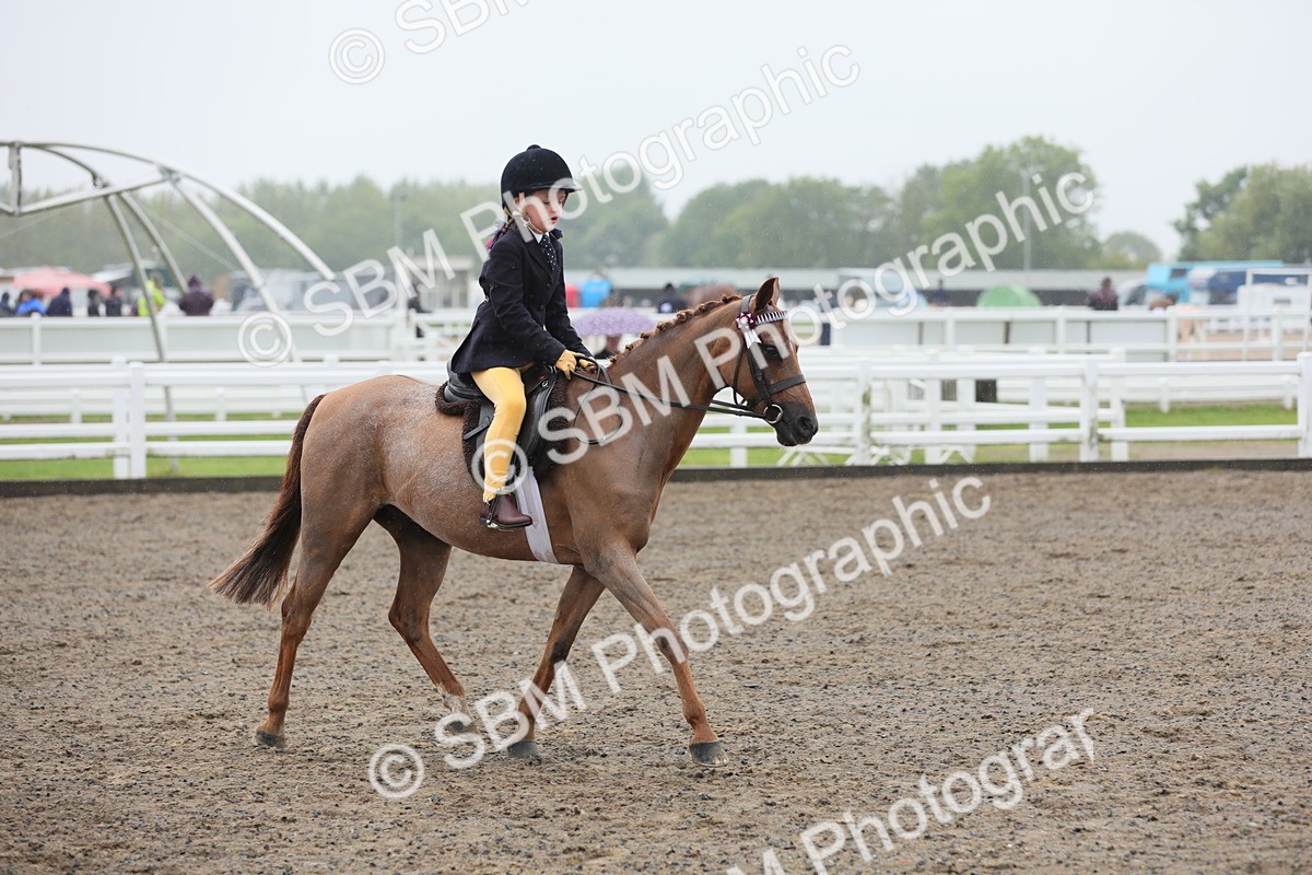 SBM_20593 - Class 804 - Ridden Veteran Pony