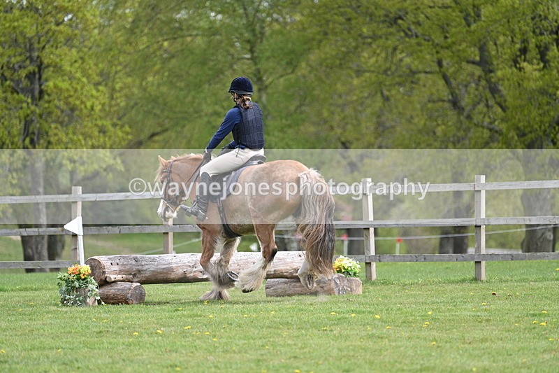 WJ7_6383 - 60cm Time 11:12 to 11:36