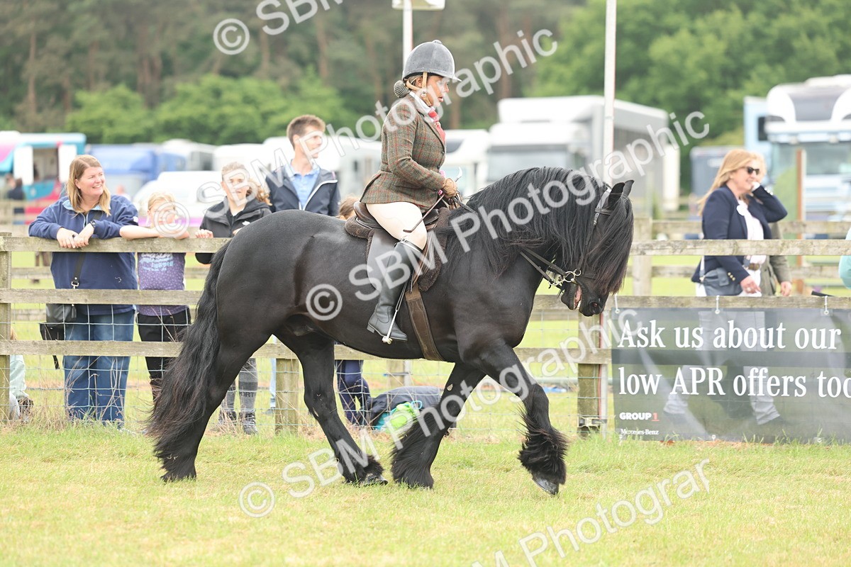 SBM_09068 - Class 78-80 - Ridden M&M Non Welsh Ponies