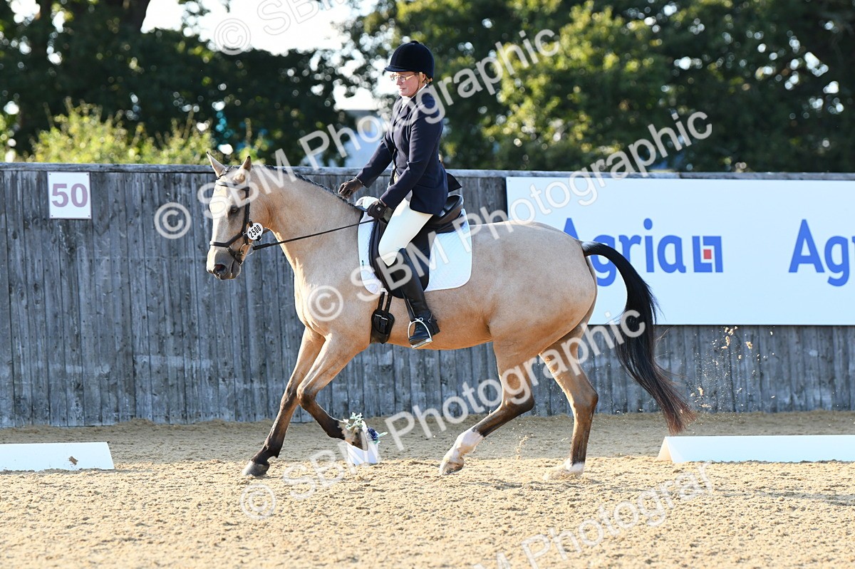 SBM_28501 - D16 - Small Tour Championship - Novice 28