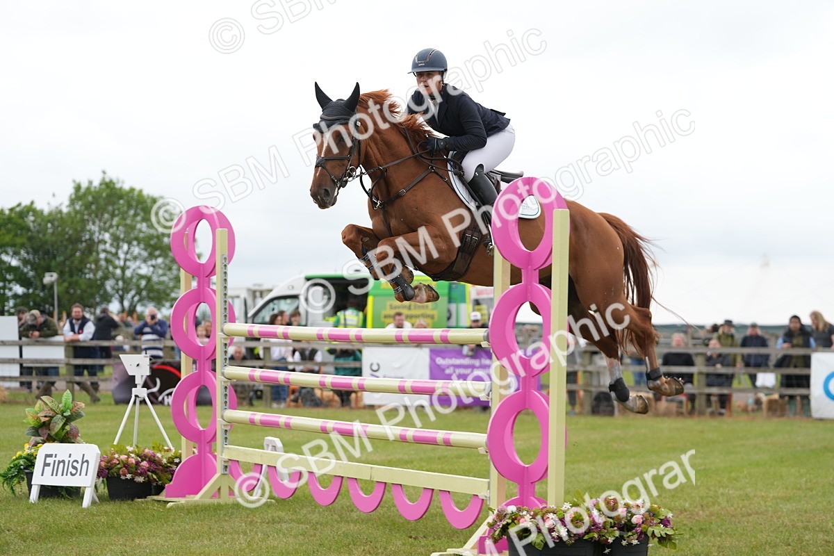 SBM_05309 - Class 201 - British Horse Feeds Speedi Beet Horse of the Year Show Grade  C