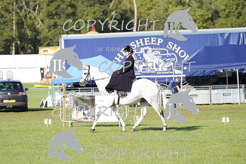 _DSC9473 - Class 8 & 17 Ridden Hunter & Ridden Hunter Pony