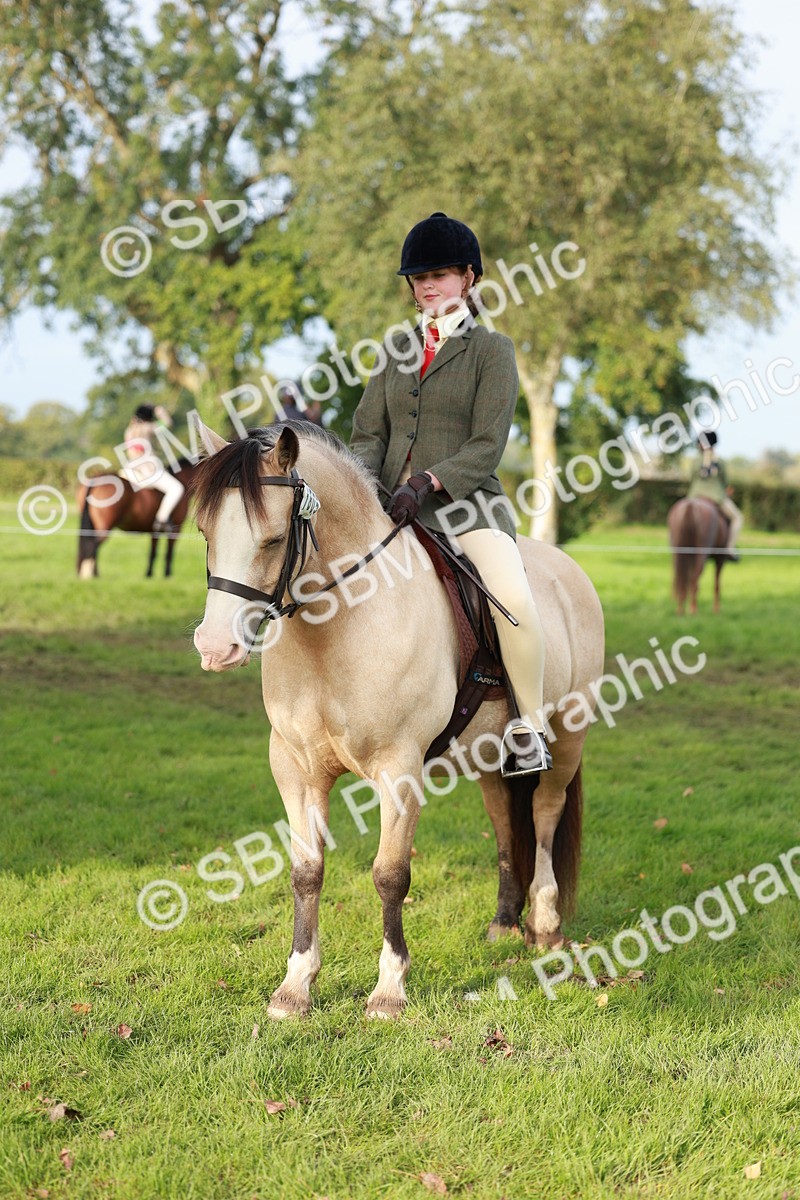 SBM_56421 - S39 - Starters In Hand Showing