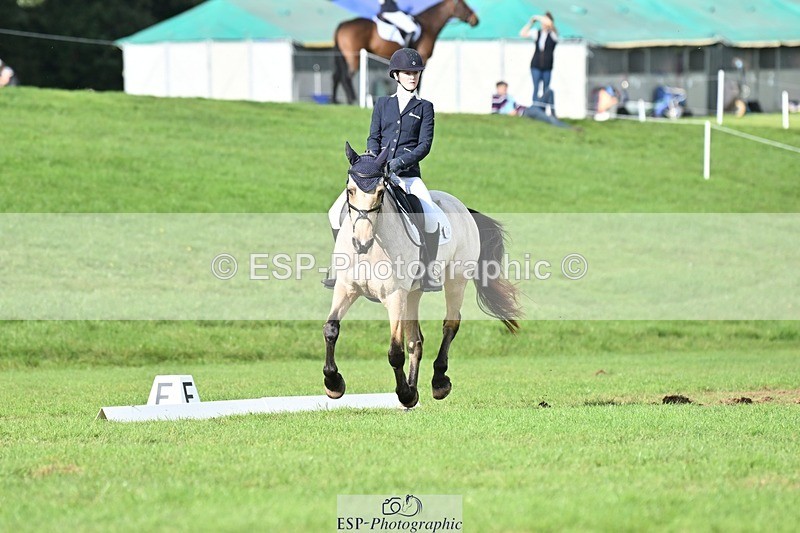 231020-141747-10868 - 664-TEMPLEMORE.WILD.ONE-Bella.Stevens-DR