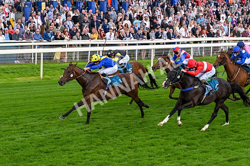 130626-Race 6-Point Of Contact-0644 - Race 6 16.50pm Ice Co Supporting Macmillan Handicap