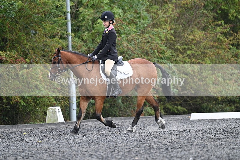 WJ7_3931 - Time 11:04 to 11:38