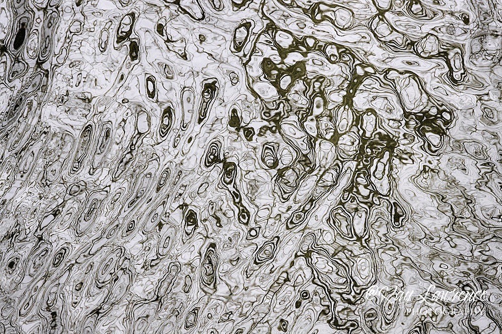 Congested_RLP0018 - Double Take