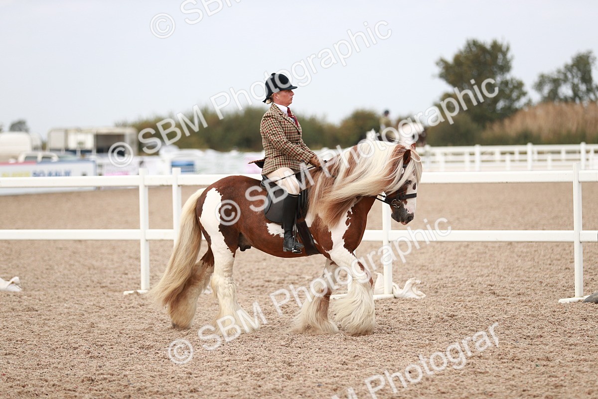 SBM_16576 - Class 214 Ridden Cob