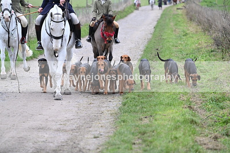 WJ7_1207 - Walk Home