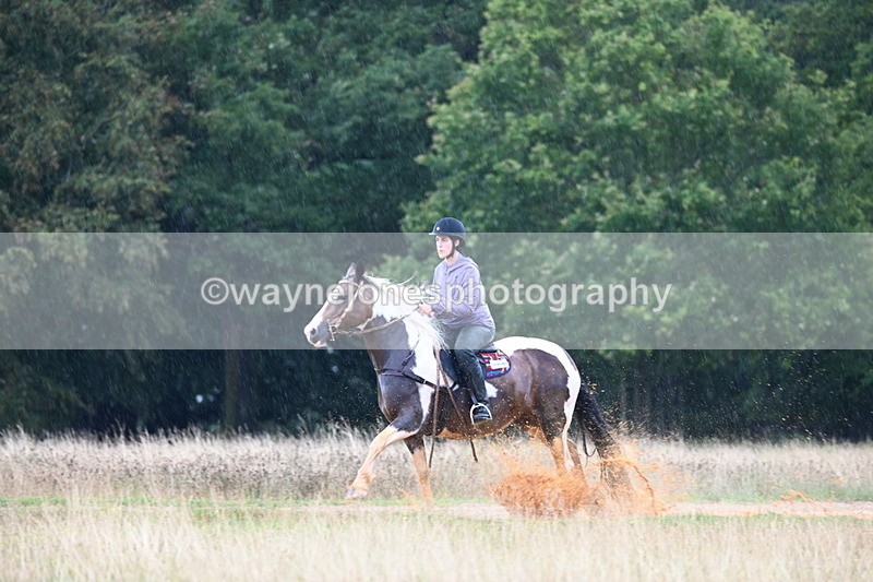 DSC_3266 - Time at Statue 12:59 to 13:49