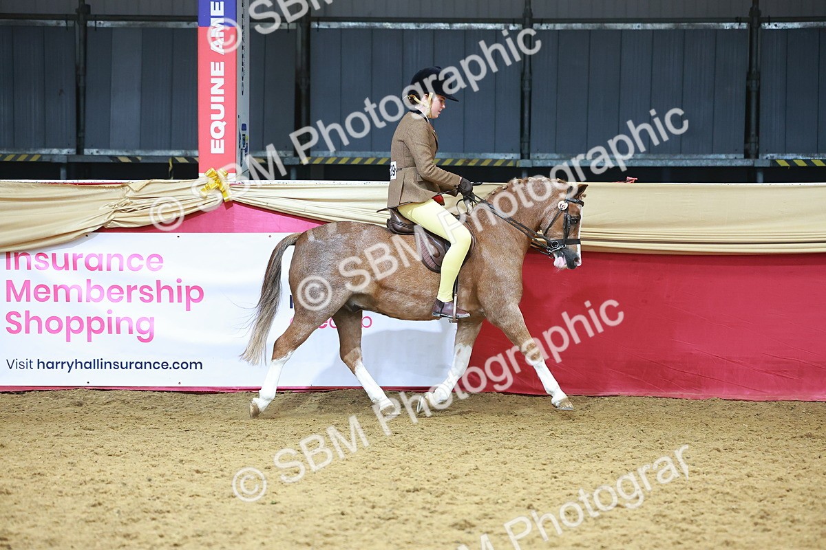 SBM_12409 - Class 103 - HOYS Veteran Qualifier - Ridden Pre Vet