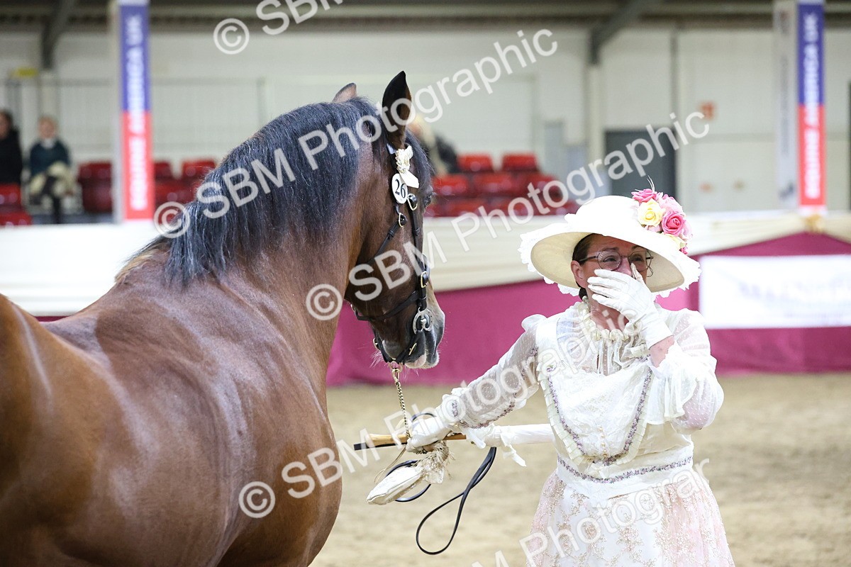 SBM_21489 - Class U - Costume Confour Champ