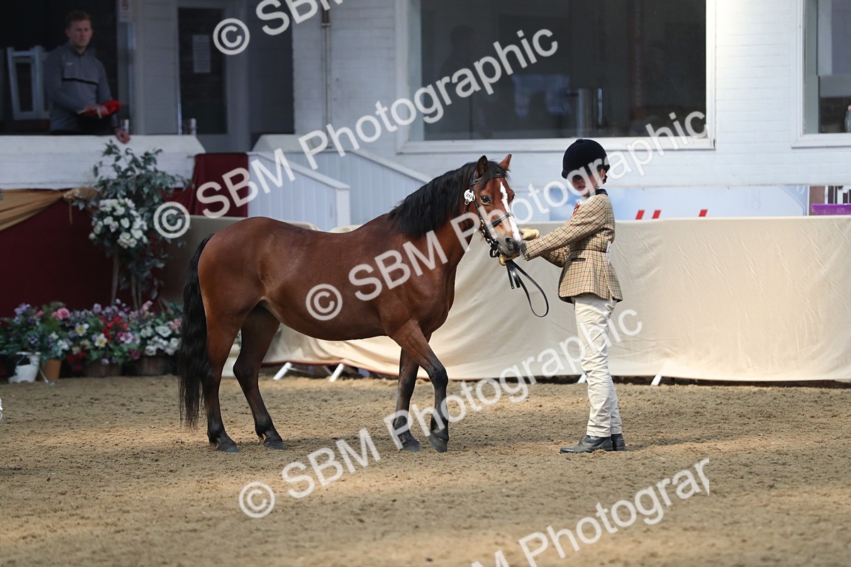 SBM_15308 - Class 501 M&M IH Supreme Final