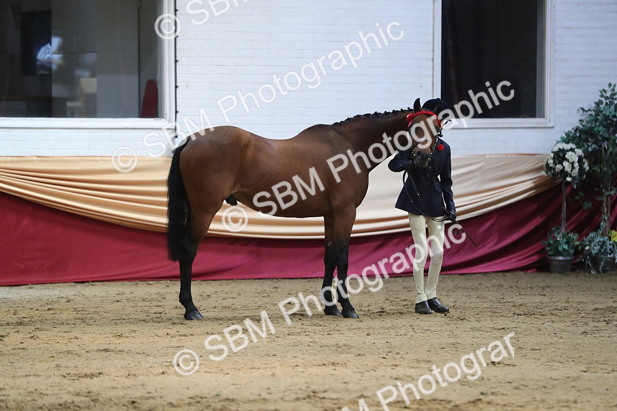 SBM_01282 - Class 3a Area IH Pre Vet