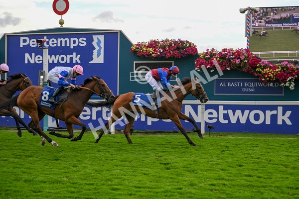 220824-Race 4-Content-7417 - Race 4 3.35pm Pertemps Network Yorkshire Oaks