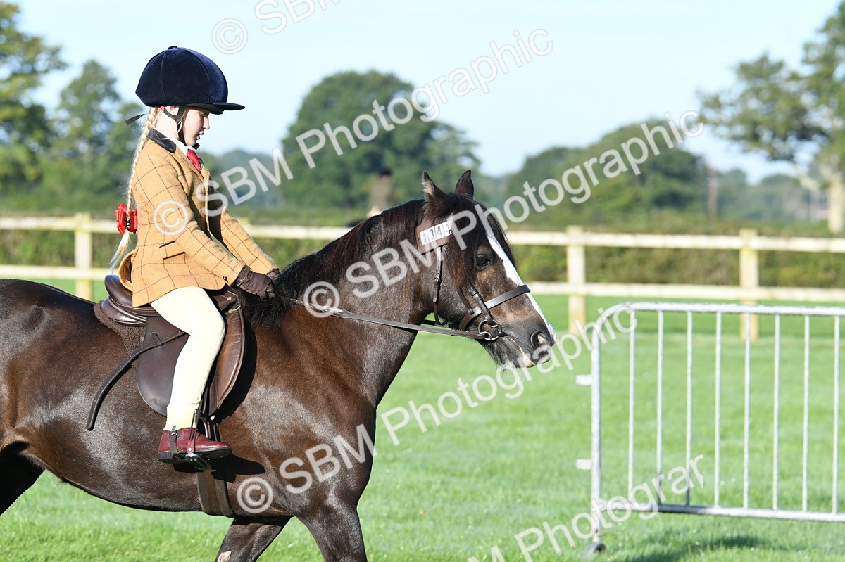 SBM_33868 - S16 - Condition & Turnout - Ridden