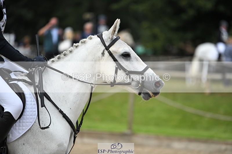 230827-101443-22991 - SJ 10 to 11.30 coursewalk