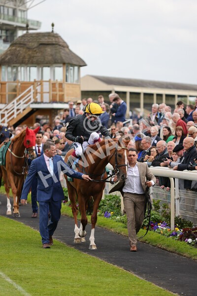 yr13052022r4-22 - Race 4 3.35pm The Paddy Power Yorkshire Cup (British Champions Series Race)