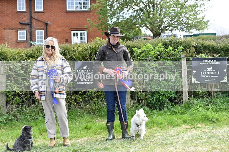 WJ5_0853 - Best in Show Championship