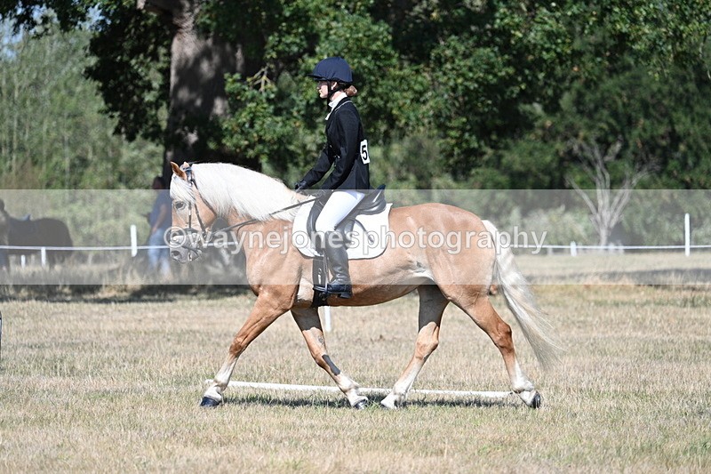 WJ7_0309 - Time 11:33 to 11:44