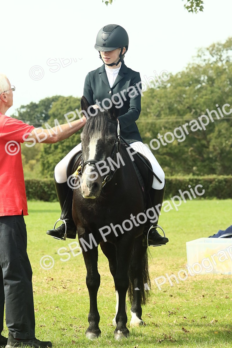 SBM_66772 - S34 - Rehabilitated Rescue Horse & Pony In Hand & Ridden