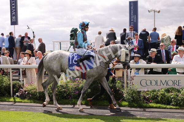 yr19082022r1-9 - Race 1 1.50pm Sky Bet Stakes