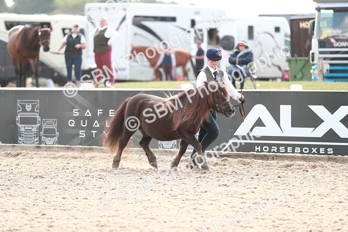 SBM_13868 - Class 209 IH Veteran Pony