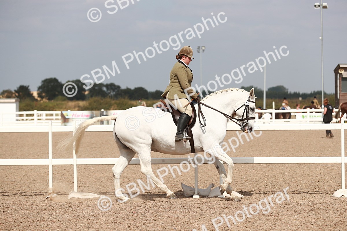 SBM_14820 - Class 212 Ridden Hunter - Small
