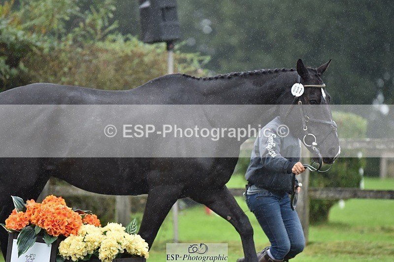 231018-122750-00311 - 037-MISTER.KAI-Hani.Milstein-TrotUp