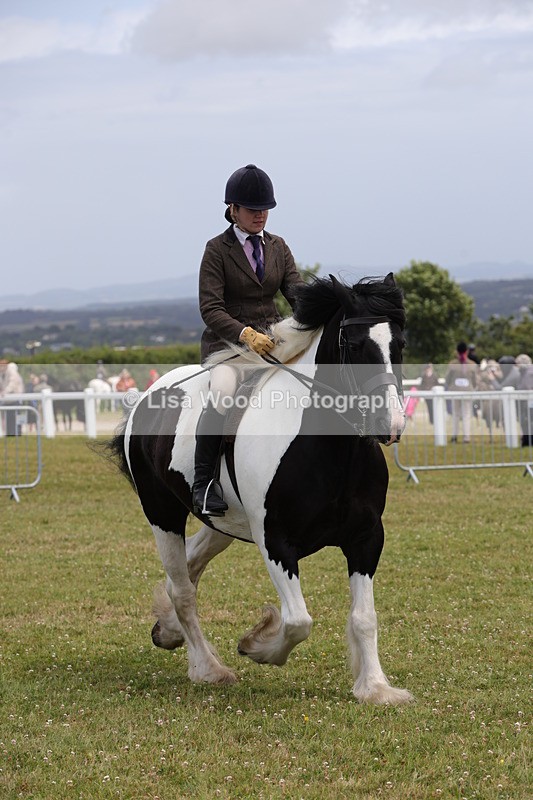 1X9A4506 - Class 34: Veteran Ridden