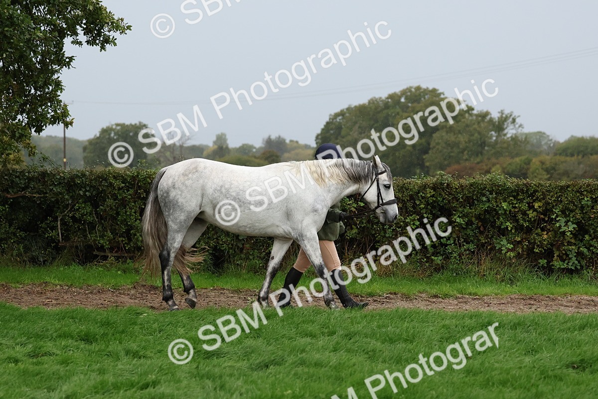 SBM_35247 - S10 - Best In Hand Horse & Pony