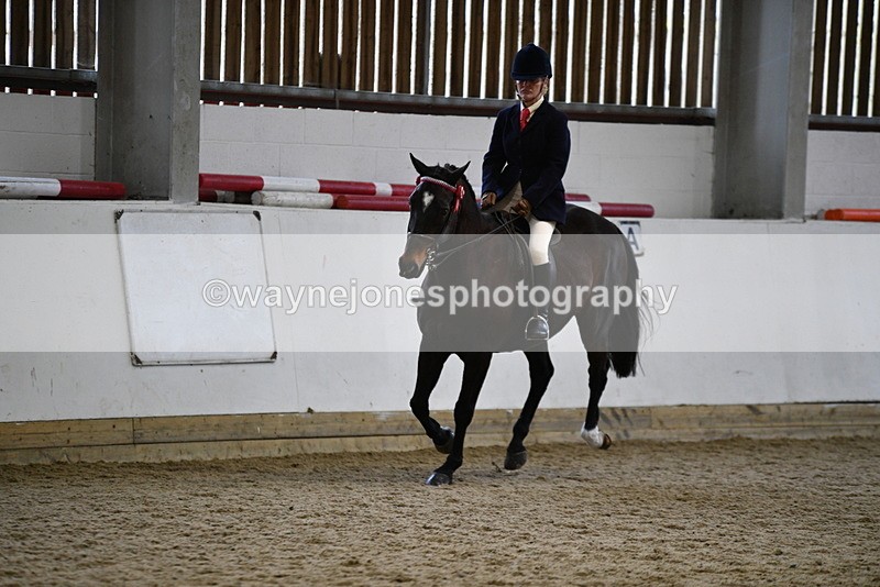 WJ5_7857 - Class 13 Ridden Part Breed