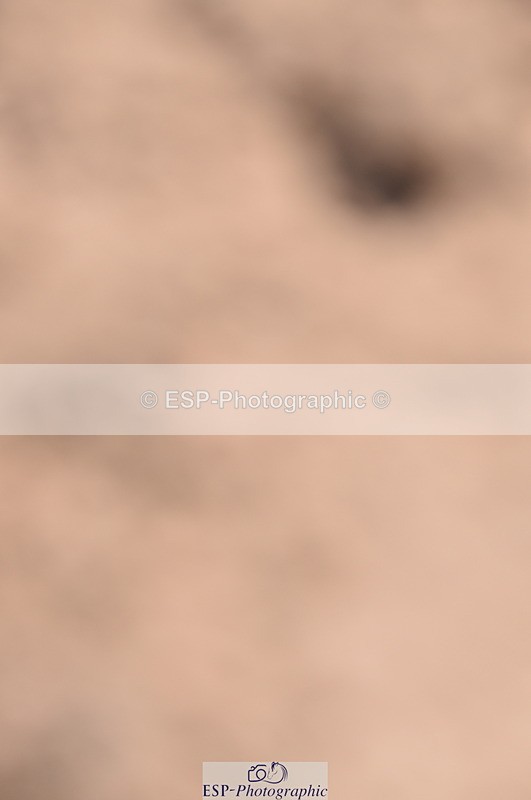 230520A-122242-00368 - 90cm