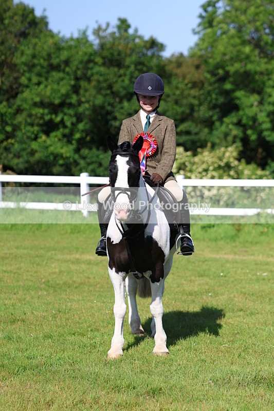 3E7A6039 - Class 27: Novice Working Hunter Pony