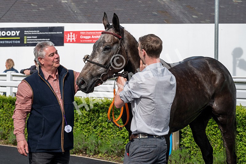 130524-Race 6-Stellarmasterpiece-6327 - Race 6