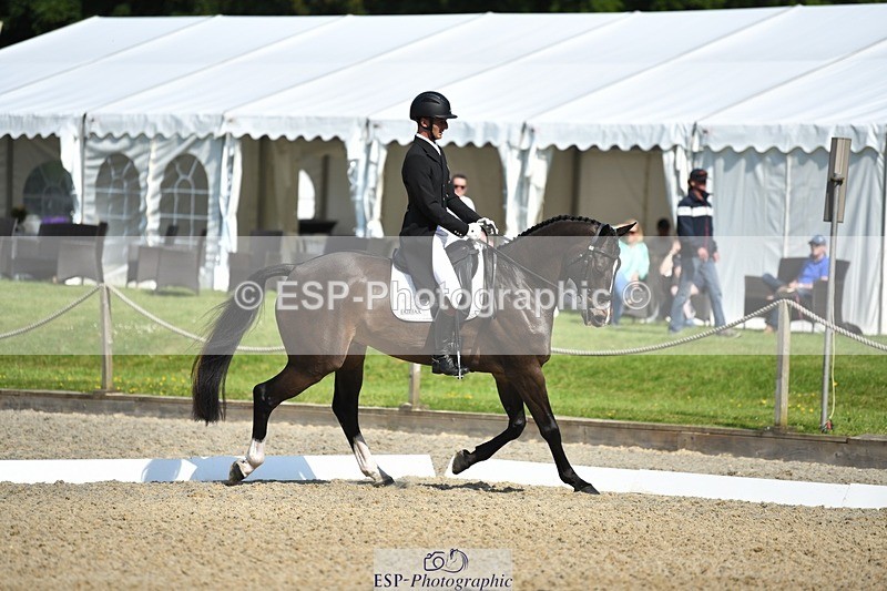 230525-094534-01660 - 309-PLOT_TWIST_B-Tom_Jackson-WEDTrotUp+DR