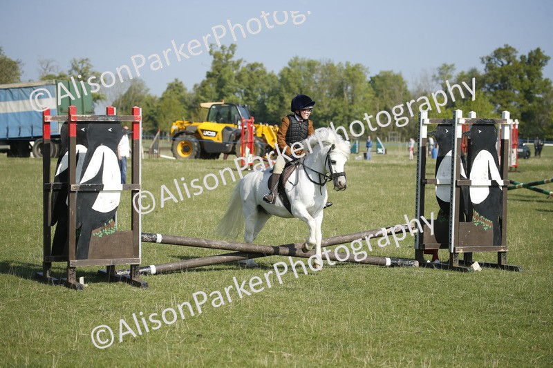 20250427-0298 - Class 12 - Rookie Jumping 40cm