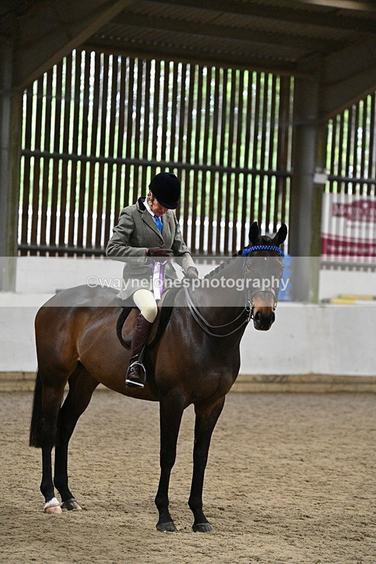 WJ7_4376 - Class 17 Ridden Cob