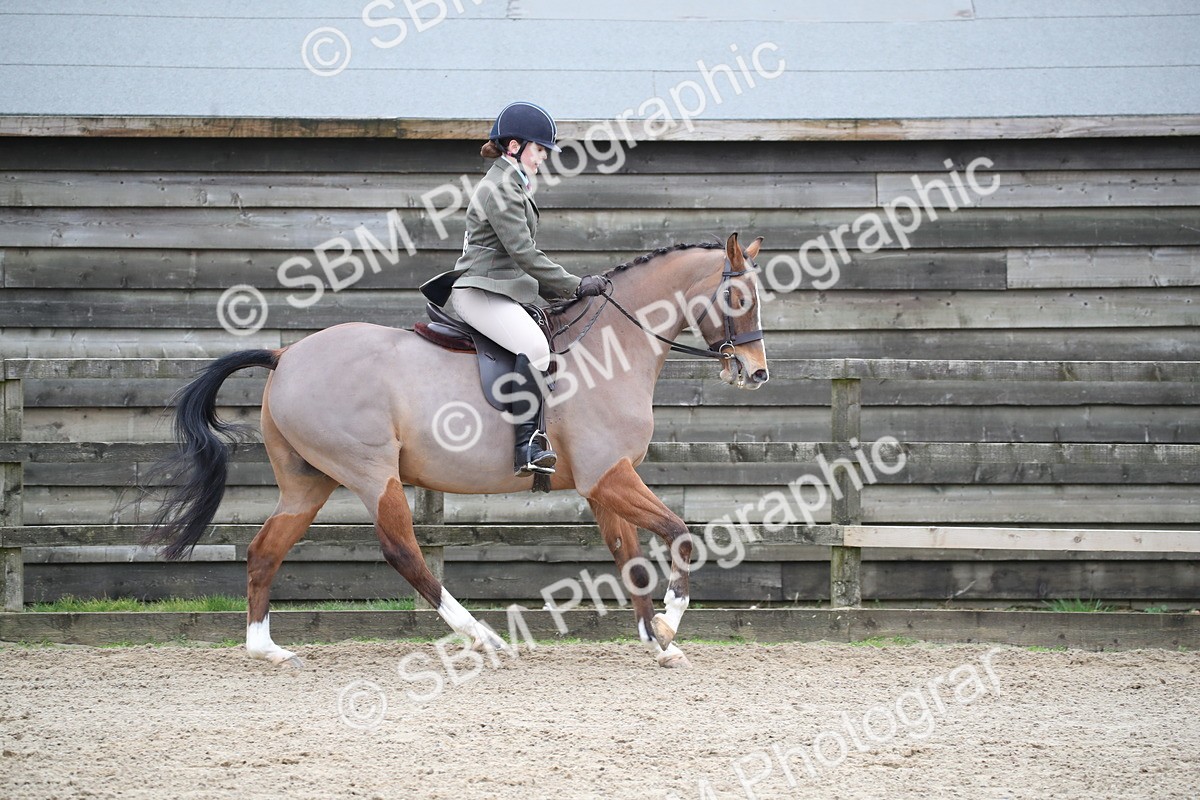 SBM_004737 - Class 5-9 - NPS In Hand-Show Hunter-Intermediate Ridden Inc Ridden Championship