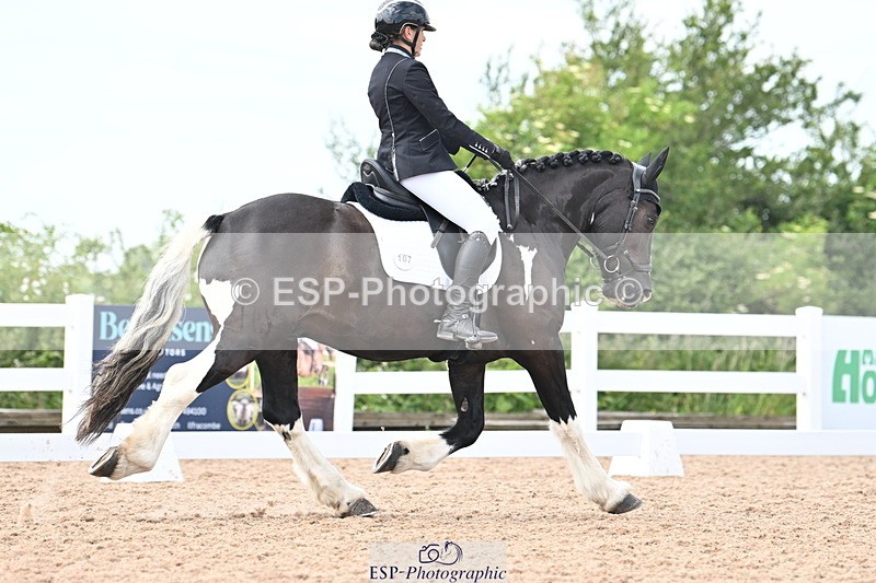 240621A-143916-03981 - Cls 11 BD Medium 73