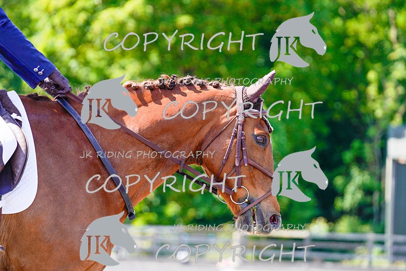 _DSC3717 - NOVICE 1
