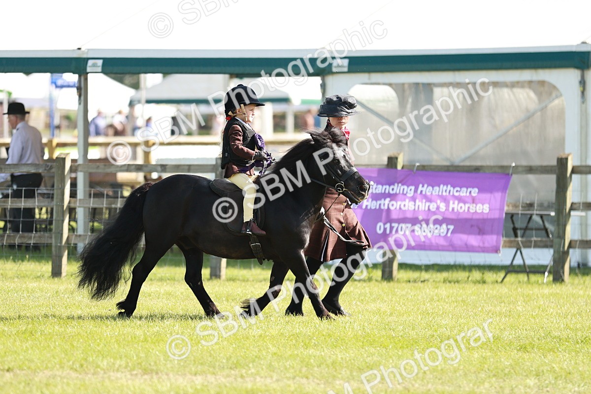SBM_11355 - Class 106-107 - BSPS LIHS Working Sports Pony